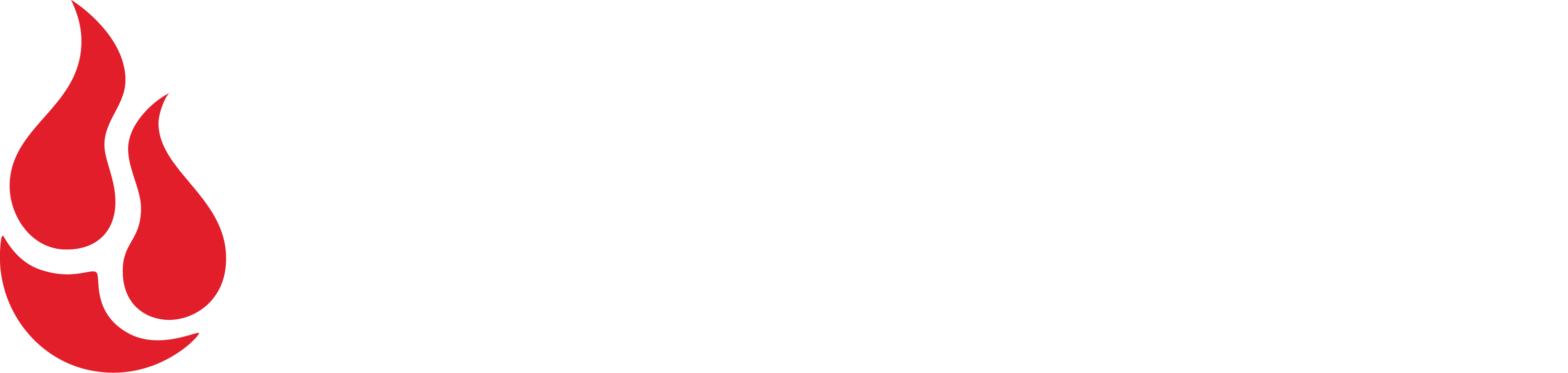 Backblaze Logo